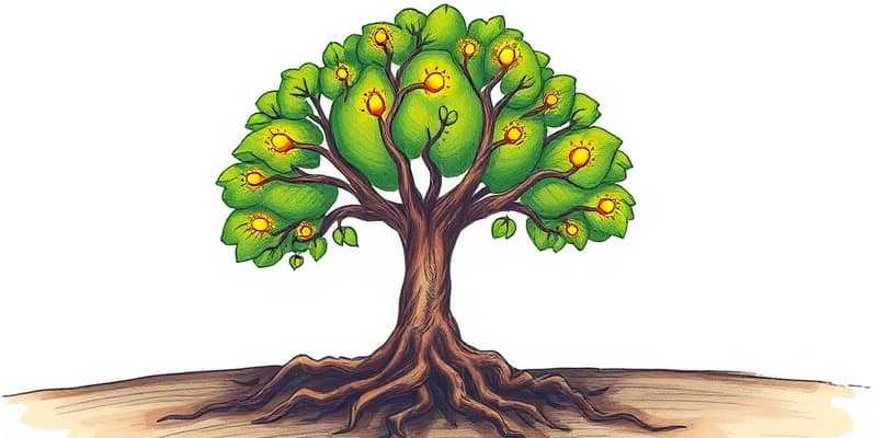 The Stable Spur: Driving Steady Growth, Avoiding Unnecessary Risks